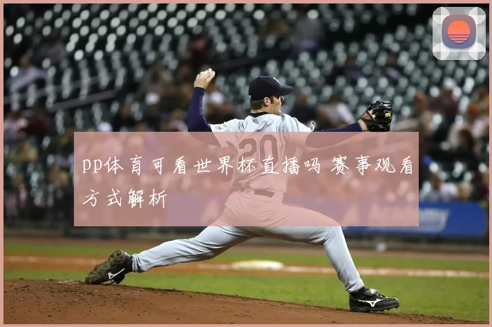 pp体育可看世界杯直播吗 赛事观看方式解析
