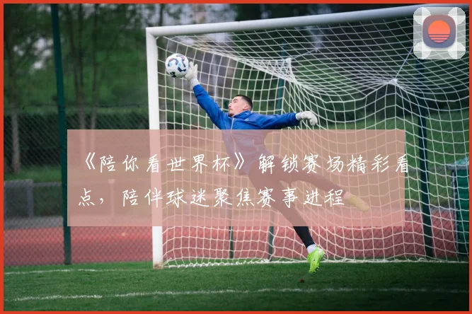 《陪你看世界杯》解锁赛场精彩看点，陪伴球迷聚焦赛事进程